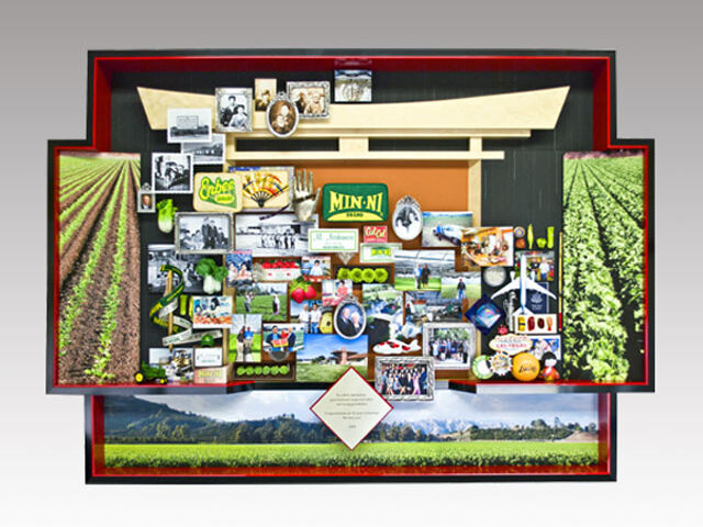 Shadow box collage for Nishimori Farms retirement tribute